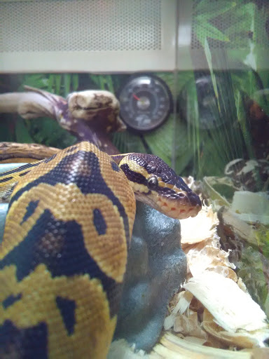 Pet Supply Store «PetSmart», reviews and photos, 9041 Snowden Square Dr, Columbia, MD 21045, USA