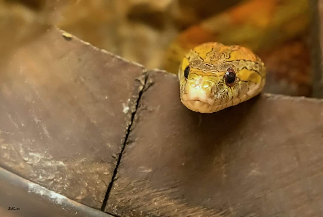 Photo n° 7 de l'avis de Bart.e fait le 19/08/2021 à 19:17