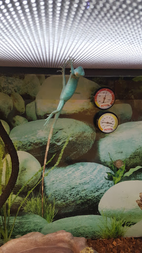 Pet Supply Store «Petco Animal Supplies», reviews and photos, 280 Kensington Blvd, Slidell, LA 70458, USA