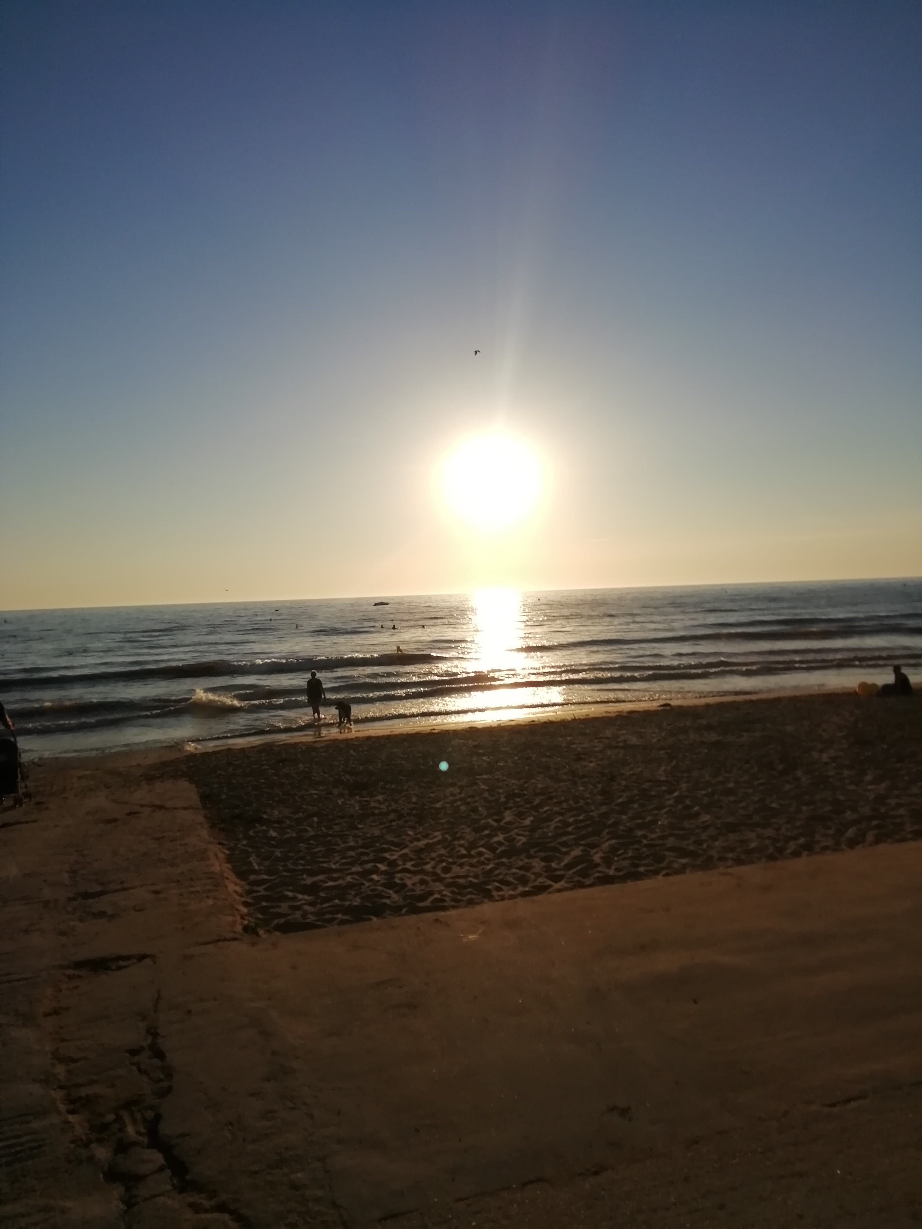 Photo n° 4 de l'avis de Mahloul.k fait le 18/08/2020 à 17:08