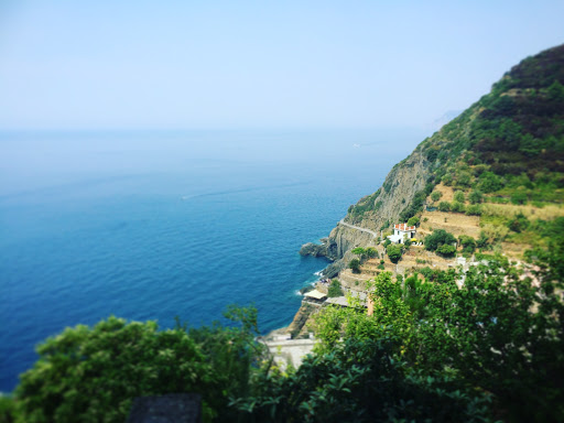 Travel Agency «Cruise Planners - Cruise our way and travel», reviews and photos, 17180 Mallard Ct, Eden Prairie, MN 55346, USA