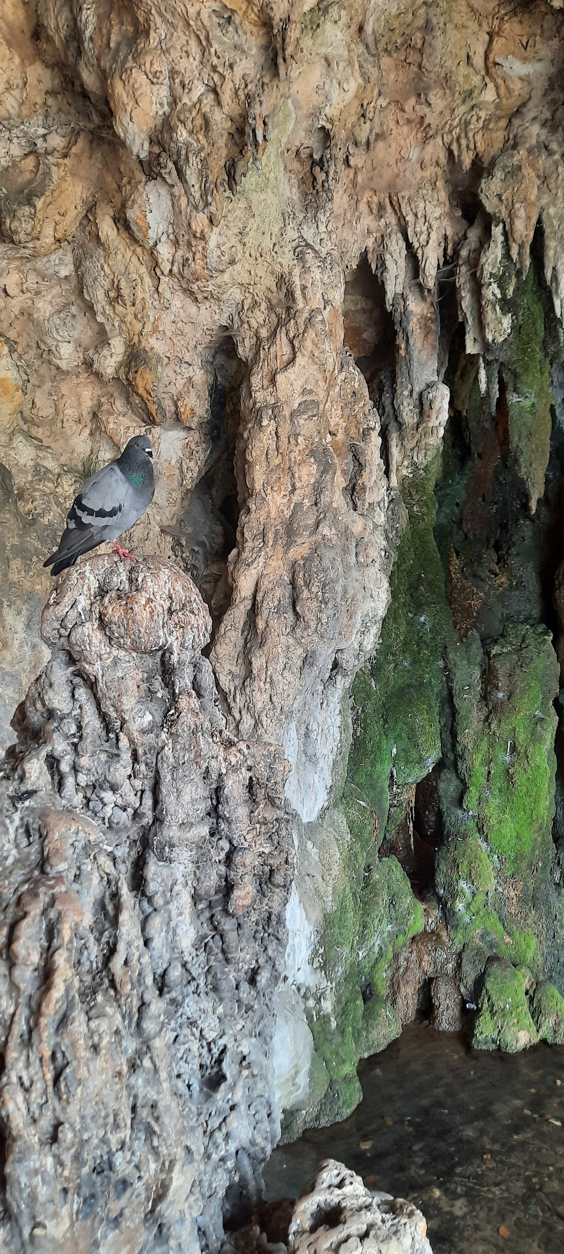 Photo n° 6 de l'avis de Val.r fait le 24/08/2020 à 15:09