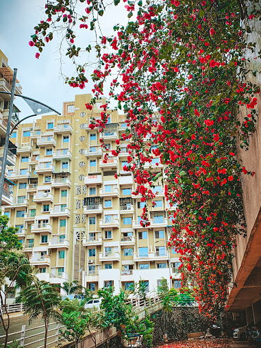 Google Maps image 33