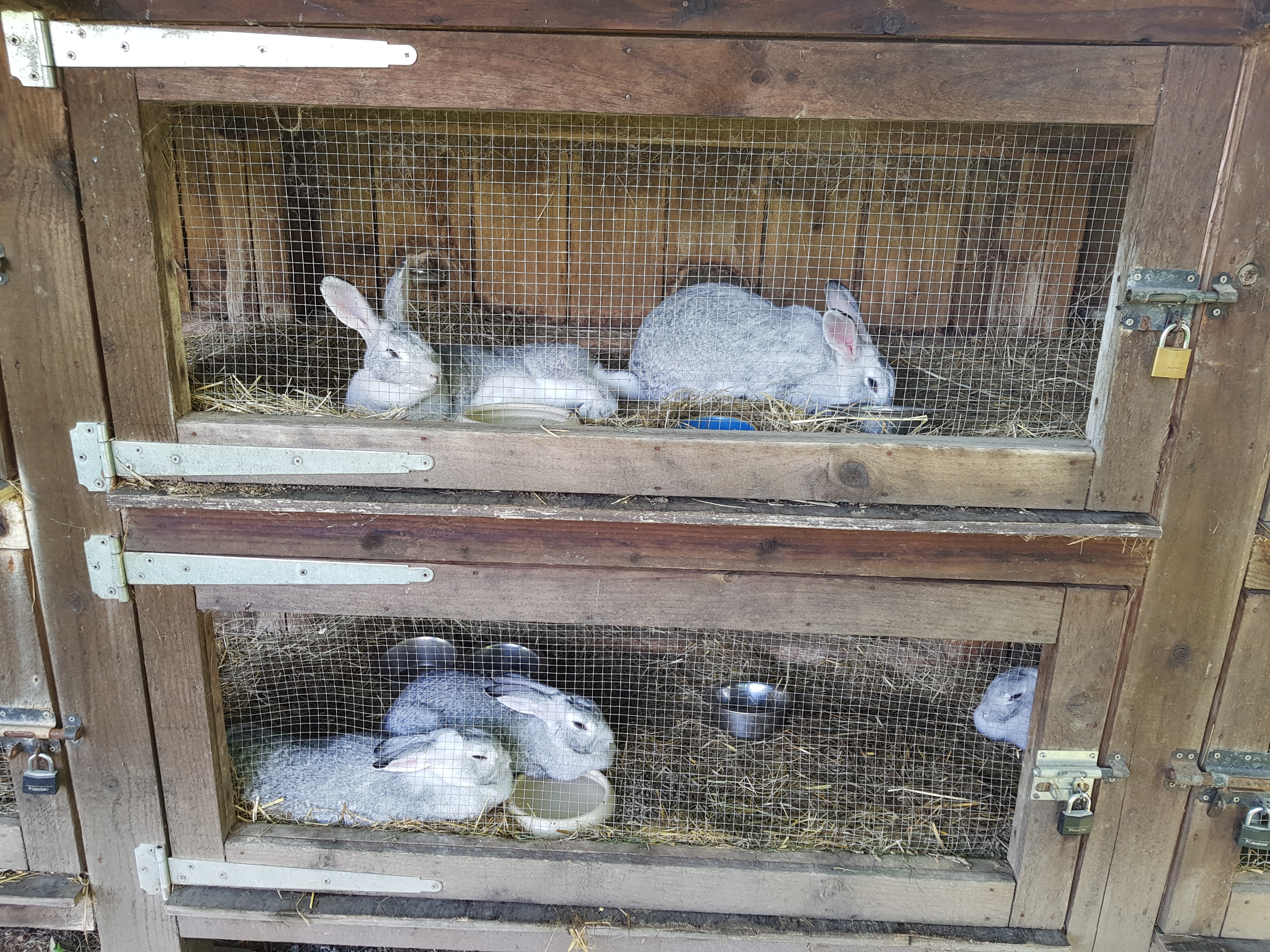 Photo n° 1 de l'avis de Amine.i fait le 16/06/2022 à 16:44