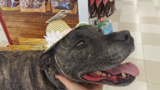 Pet Supply Store «Petco Animal Supplies», reviews and photos, 12163 Sheridan Blvd, Broomfield, CO 80020, USA