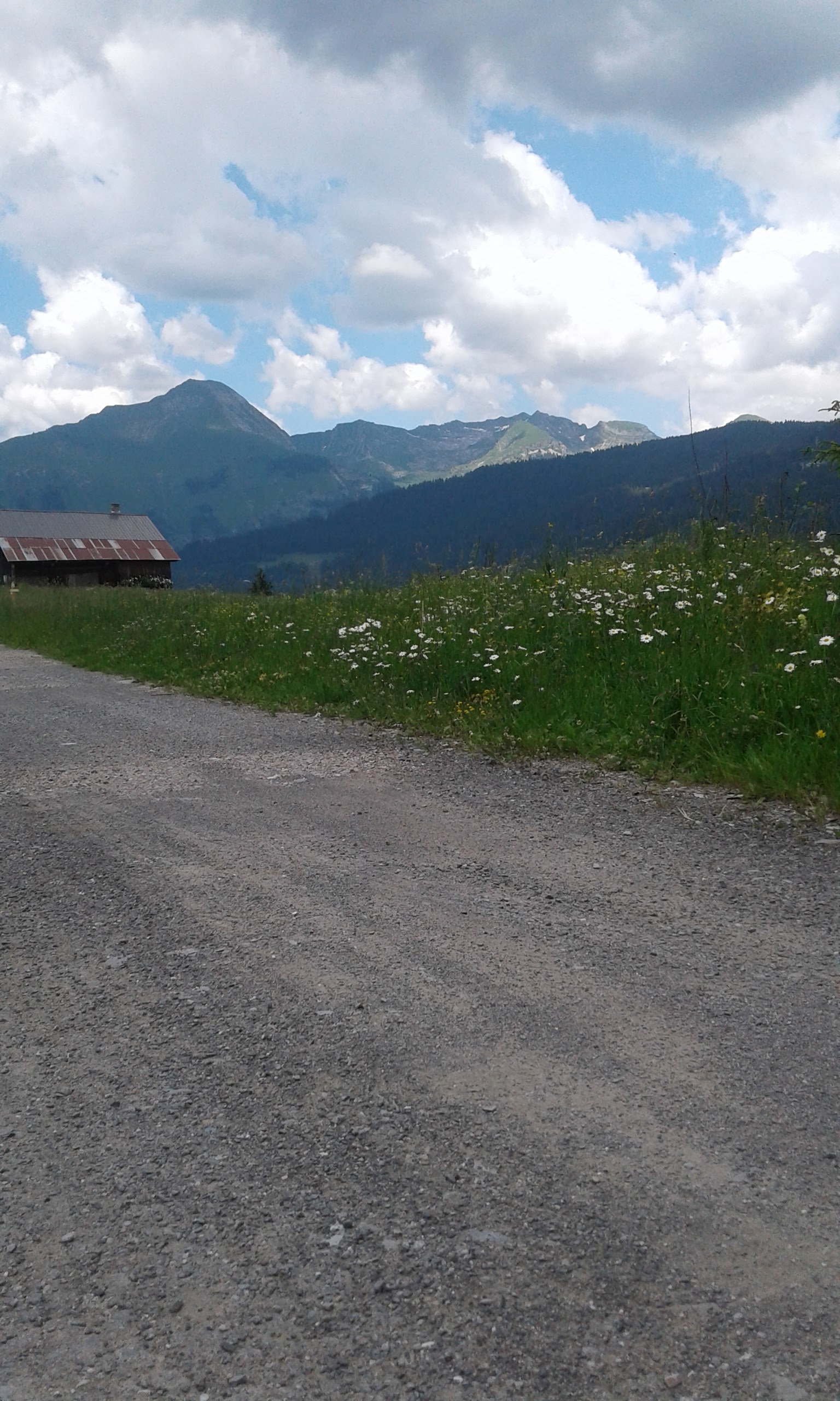 Photo n° 8 de l'avis de Cherzad.r fait le 24/06/2018 à 20:16