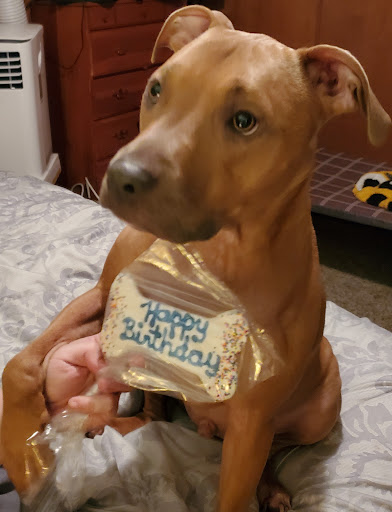 Pet Supply Store «Pet Source», reviews and photos, 141 Boston Post Rd W, Marlborough, MA 01752, USA