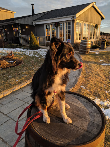 Winery «Sunset Meadow Vineyards», reviews and photos, 599 Old Middle St, Goshen, CT 06756, USA