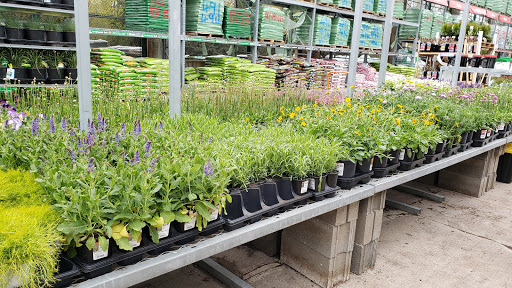 Home Improvement Store «The Home Depot», reviews and photos, 6701 Boone Ave N, Brooklyn Park, MN 55428, USA