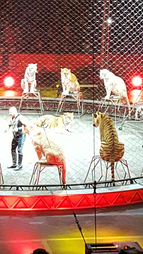 Stadium «The Palace of Auburn Hills», reviews and photos, 6 Championship Dr, Auburn Hills, MI 48326, USA