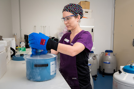 Fertility Specialists South - Attadale Hospital - Fertility Specialists South - Attadale Hospital