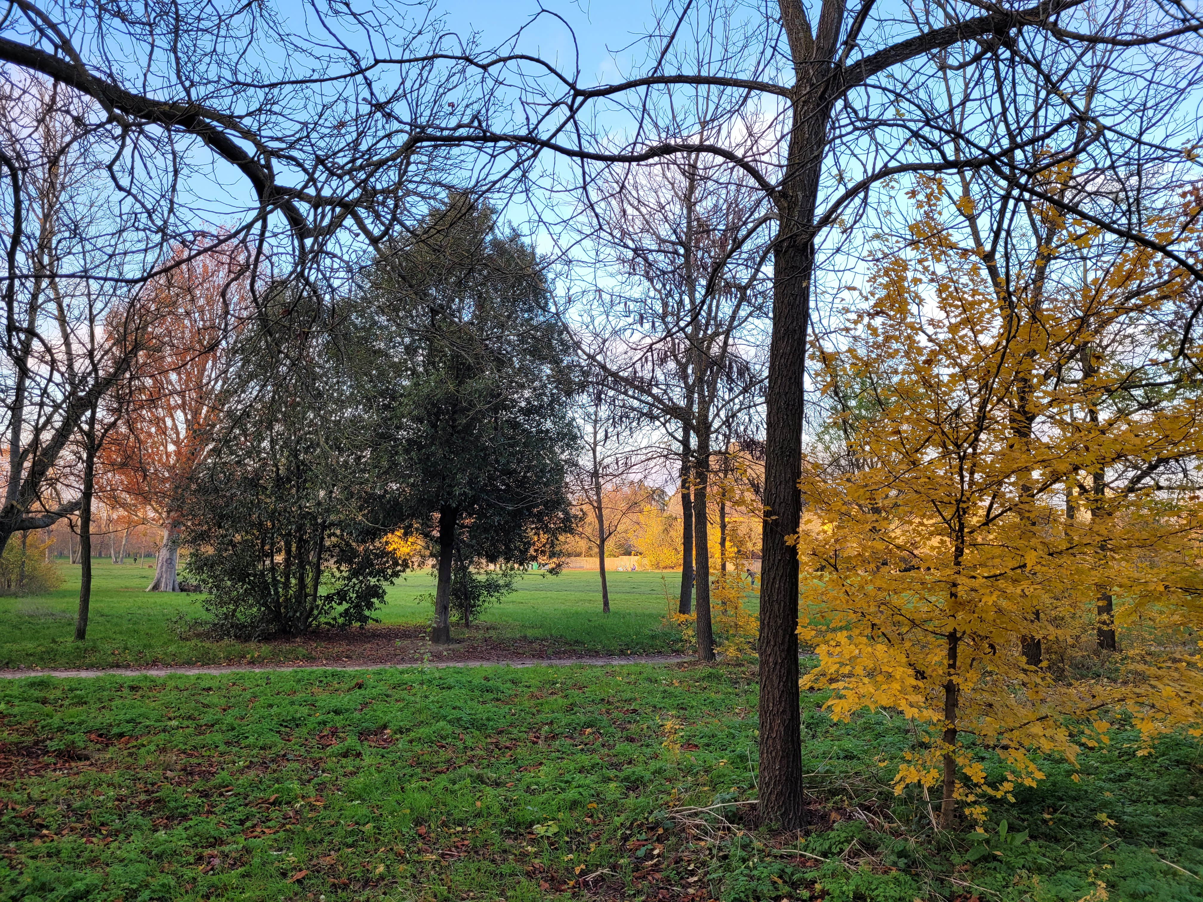 Photo n° 23 de l'avis de ernest.o fait le 17/08/2018 à 17:20