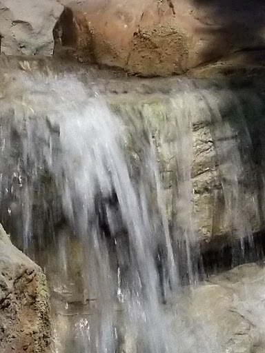 Aquarium «SEA LIFE Minnesota Aquarium», reviews and photos, 120 E Broadway, Bloomington, MN 55425, USA