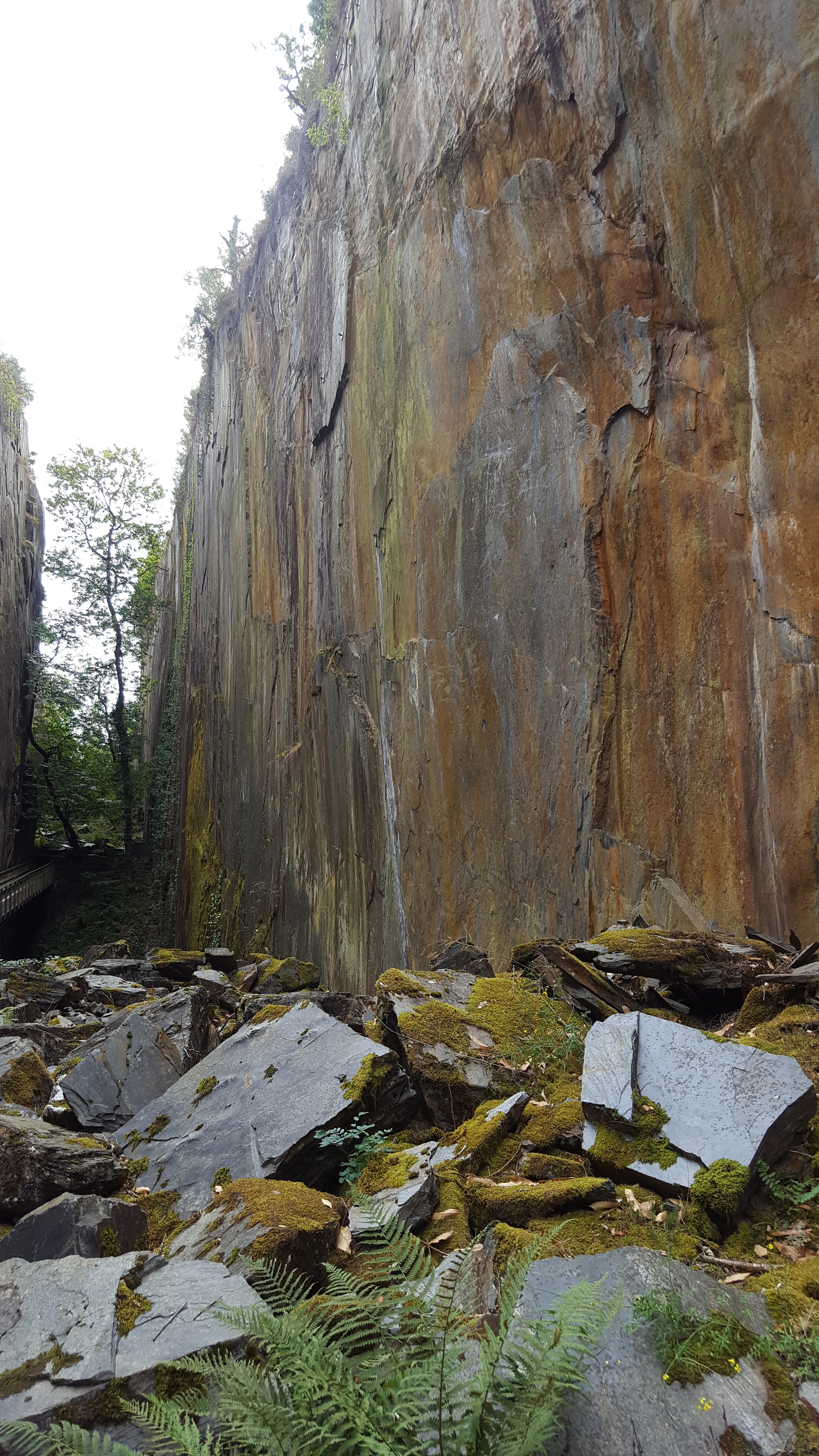Photo n° 6 de l'avis de Chris.e fait le 01/09/2018 à 19:30