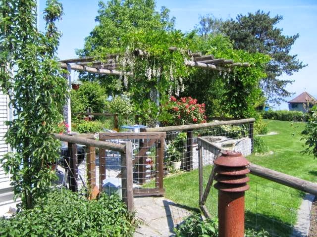 Lorandi + Co. Gartengestaltung - Gartenbauer