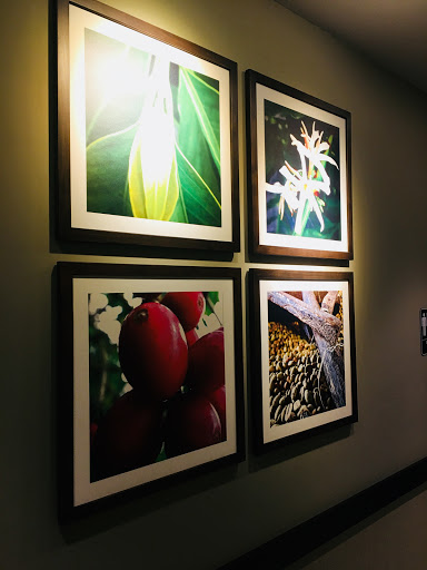 Coffee Shop «Starbucks», reviews and photos, 5151 State St, Murray, UT 84107, USA