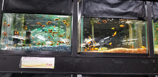 Tropical Fish Store «Two Turtles Pet Center», reviews and photos, 760 W Market St, Akron, OH 44303, USA