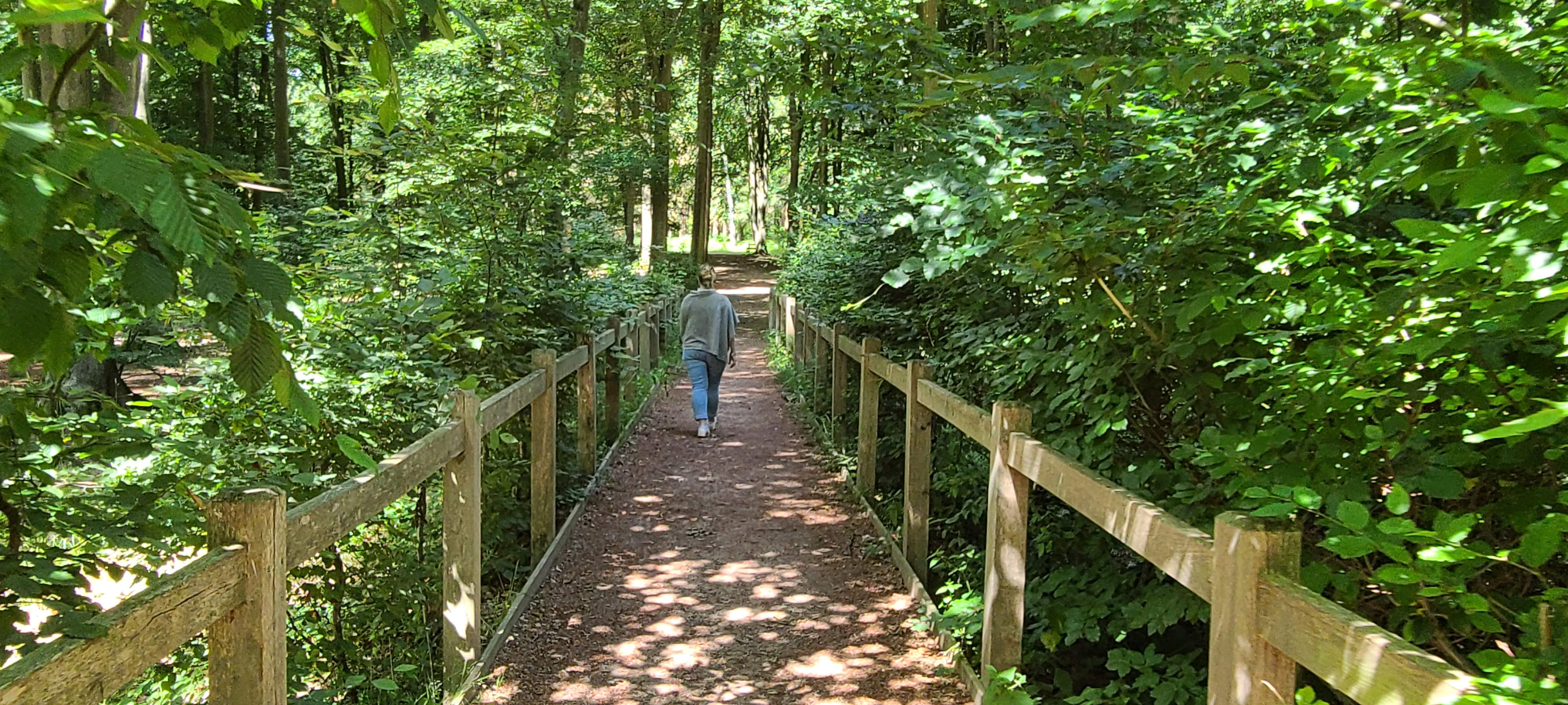 Photo n° 4 de l'avis de Pierre.o fait le 03/07/2022 à 19:43