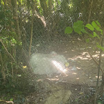 Photo n° 10 de l'avis de Stephanie.a fait le 31/07/2023 à 15:12 pour Le Zoo d'Upie à Upie