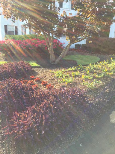 Funeral Home «Madison Funeral Home», reviews and photos, 219 E Old Hickory Blvd, Madison, TN 37115, USA