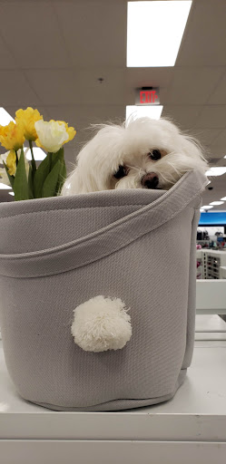 Clothing Store «Ross Dress for Less», reviews and photos, 13200 S Cicero Ave, Crestwood, IL 60445, USA