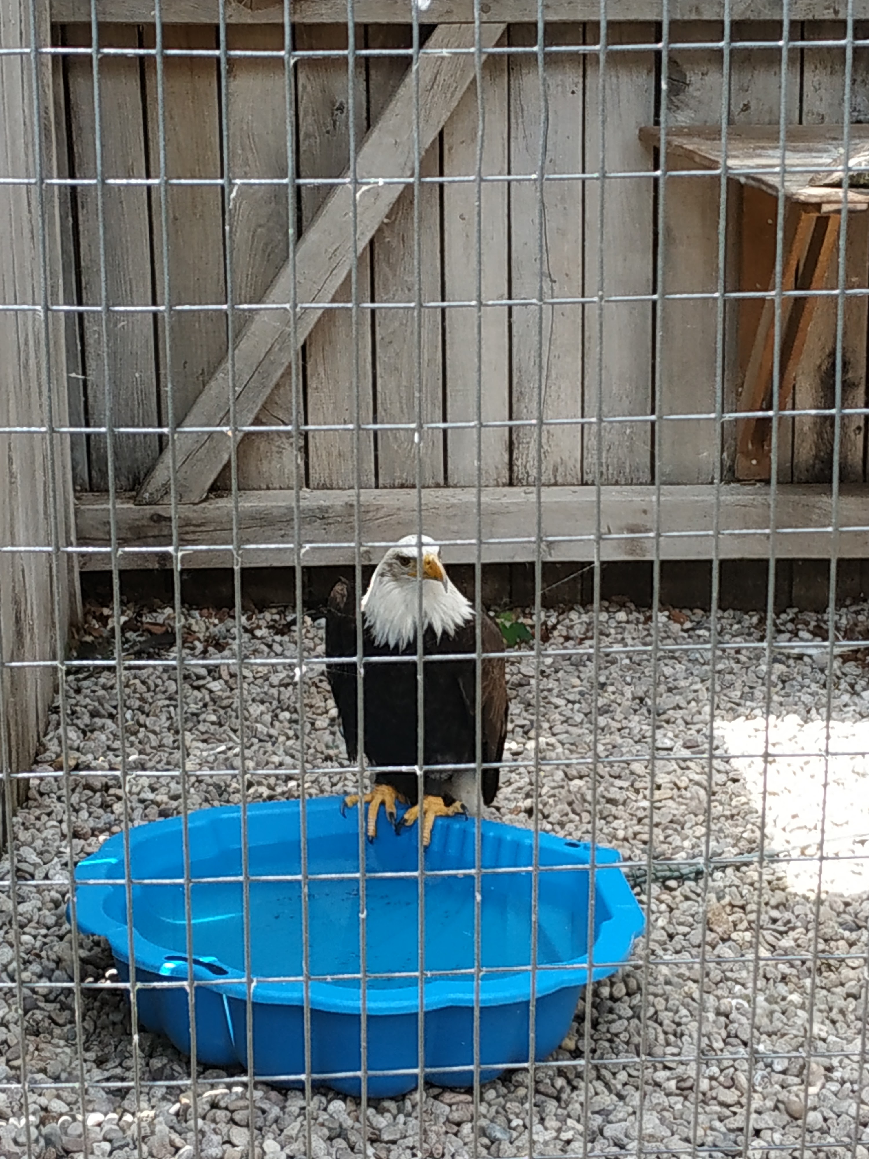Photo n° 1 de l'avis de Michel.a fait le 23/06/2019 à 17:14