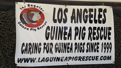 LA Guinea Pig Rescue
