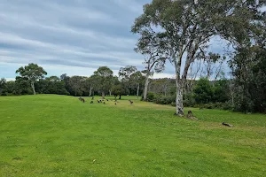 Tathra Beach Country Club image