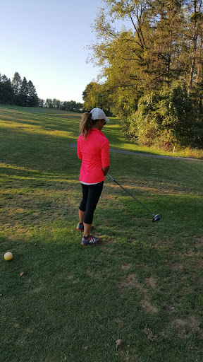 Golf Course «Willow Hollow Golf Course», reviews and photos, 619 Prison Rd, Leesport, PA 19533, USA