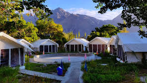 The Regal Camp, Nubra - Google hotels
