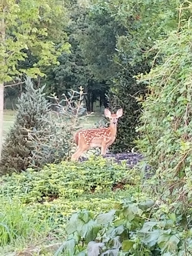 Country Club «Woodmont Country Club», reviews and photos, 1201 Rockville Pike, Rockville, MD 20852, USA
