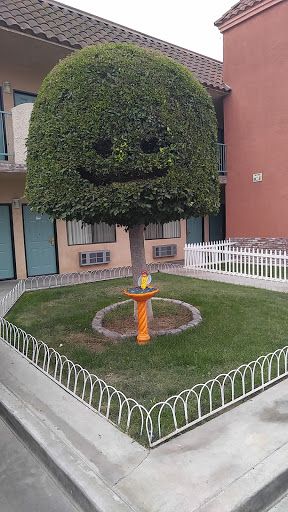 Travelodge by Wyndham Lynwood image