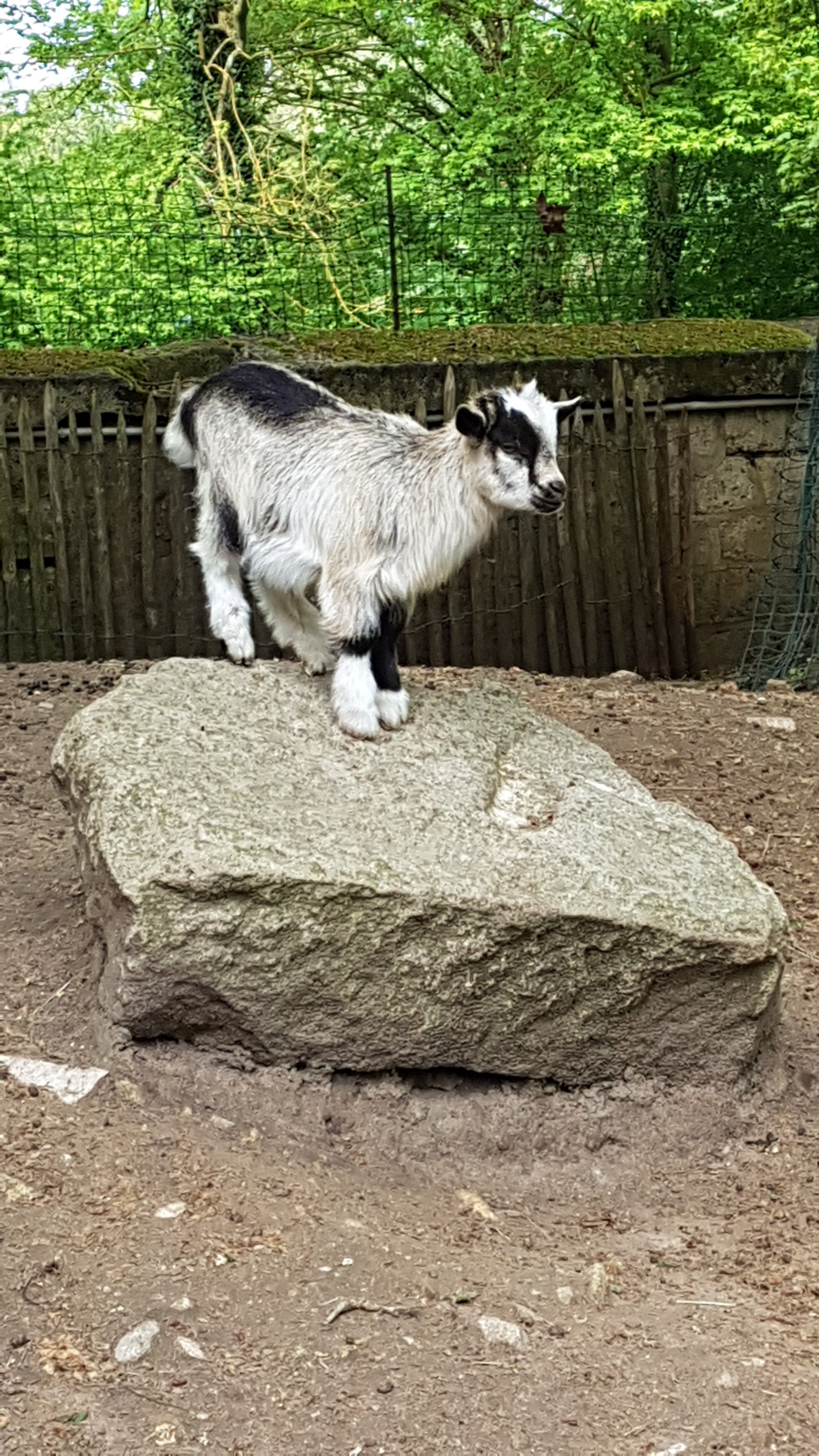Photo n° 3 de l'avis de ISABELLE.E fait le 05/05/2018 à 06:01