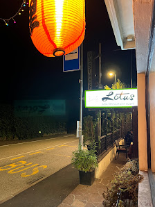 Ristorante Lotus Via Schnatterpeck, 2, 39011 Lana BZ, Italia