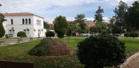 Instituto Valenciano de Audiofonología Luis Fortich (Colegio Oficial de Sordomudos)