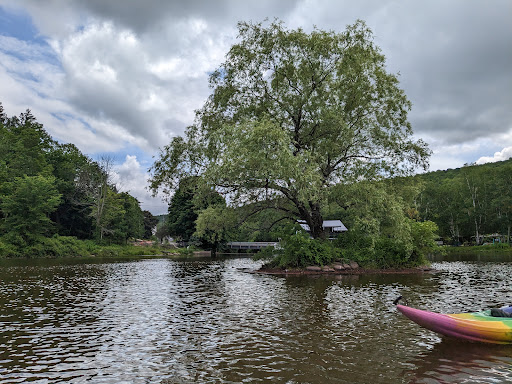 Susan's Pleasant Pheasant Farm