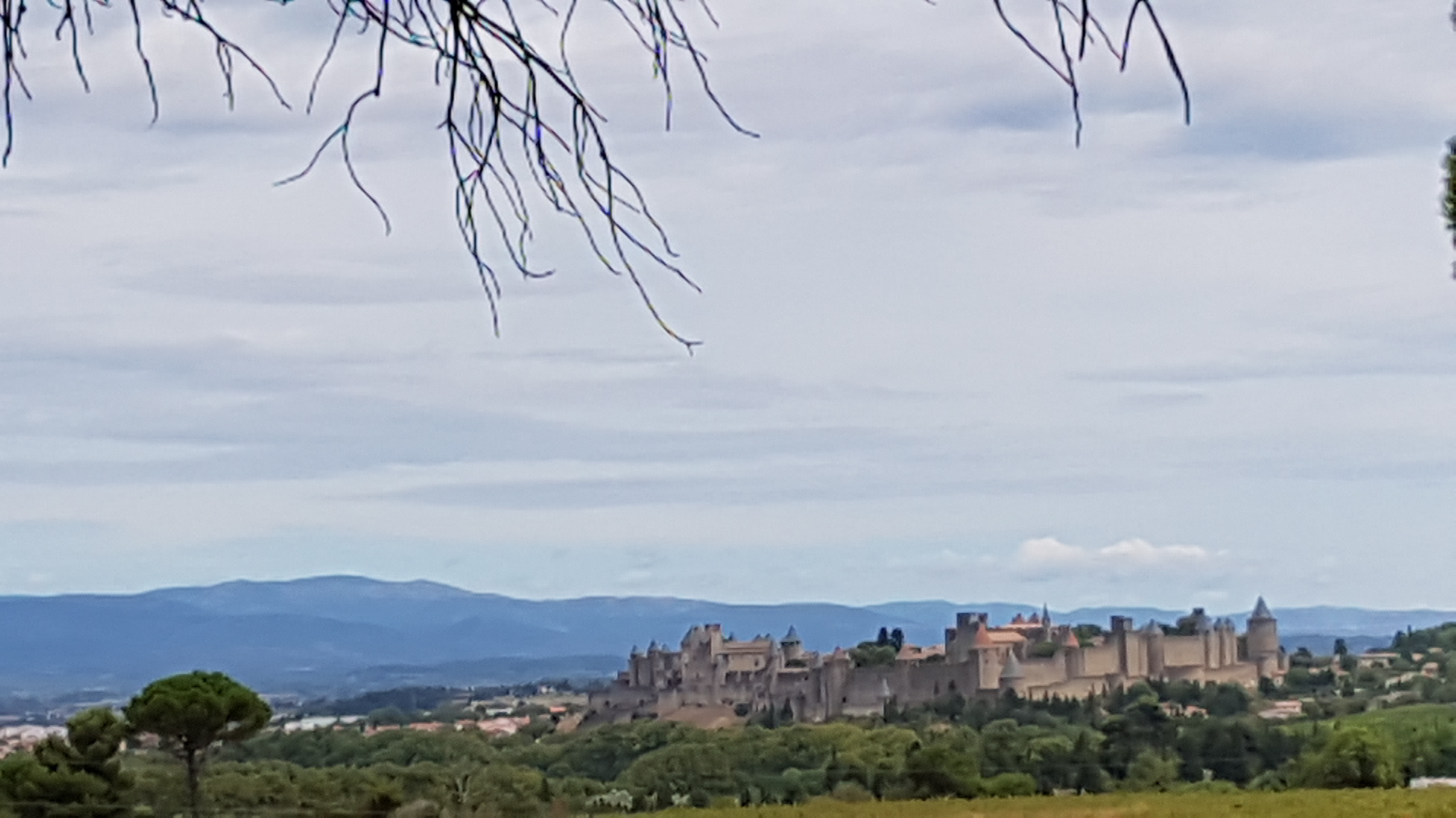 Photo n° 1 de l'avis de thierry.h fait le 18/08/2020 à 12:08