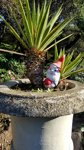 Hardware Store «Grand Lake Ace Hardware Inc», reviews and photos, 1221 Grand Ave, Piedmont, CA 94610, USA