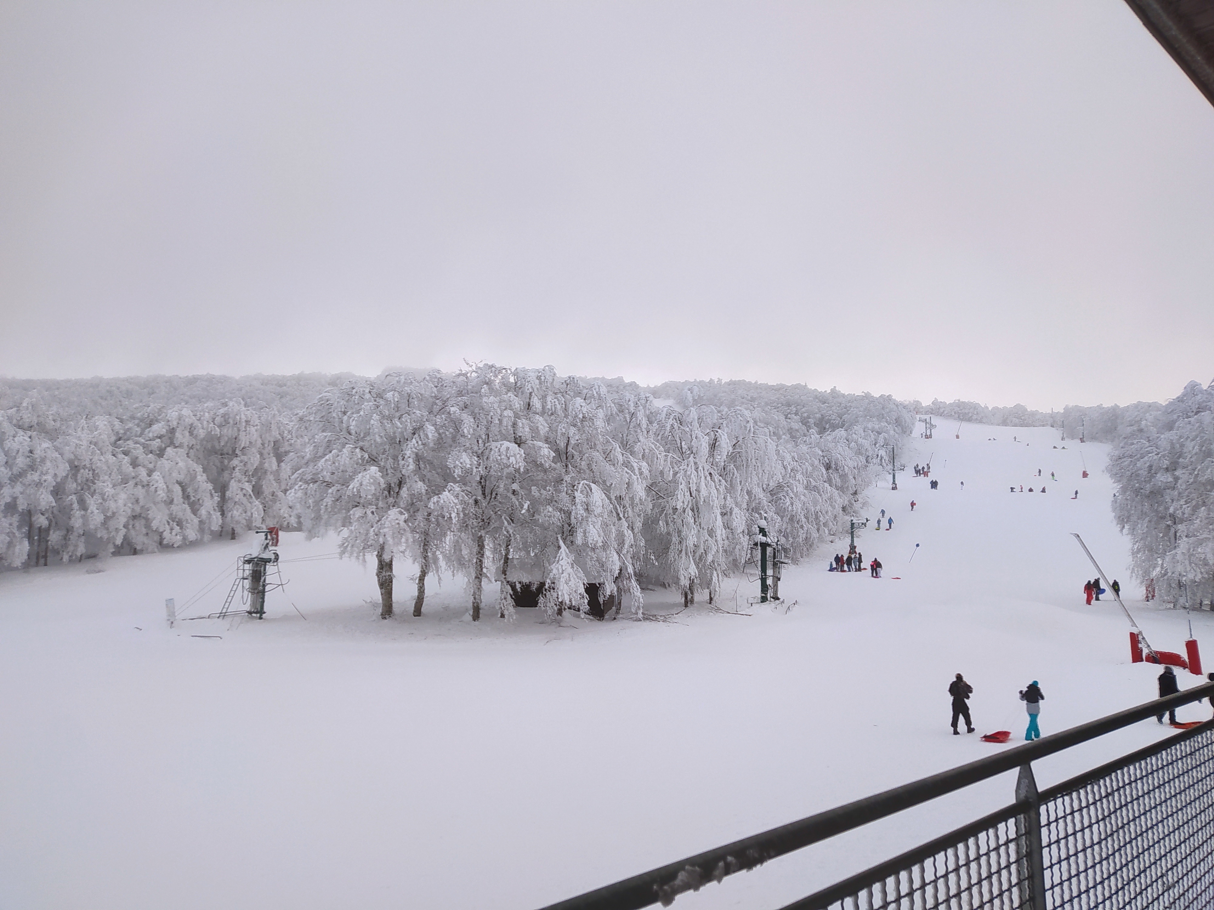 Photo n° 2 de l'avis de thibaut.e fait le 21/01/2021 à 16:03