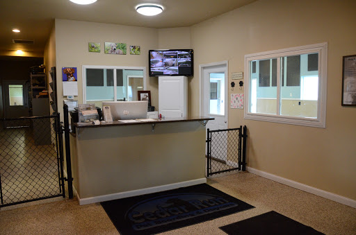 Kennel «Cedar Run Pet Boarding and Daycare», reviews and photos, 2705 Stonegate Ct, Hiawatha, IA 52233, USA
