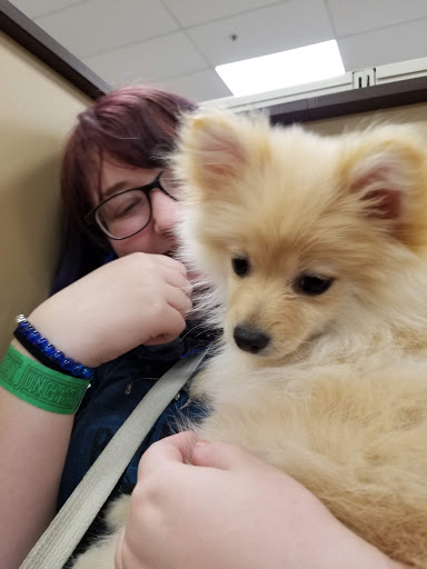 Pet Store «Petland», reviews and photos, 5470 Dixie Hwy, Fairfield, OH 45014, USA