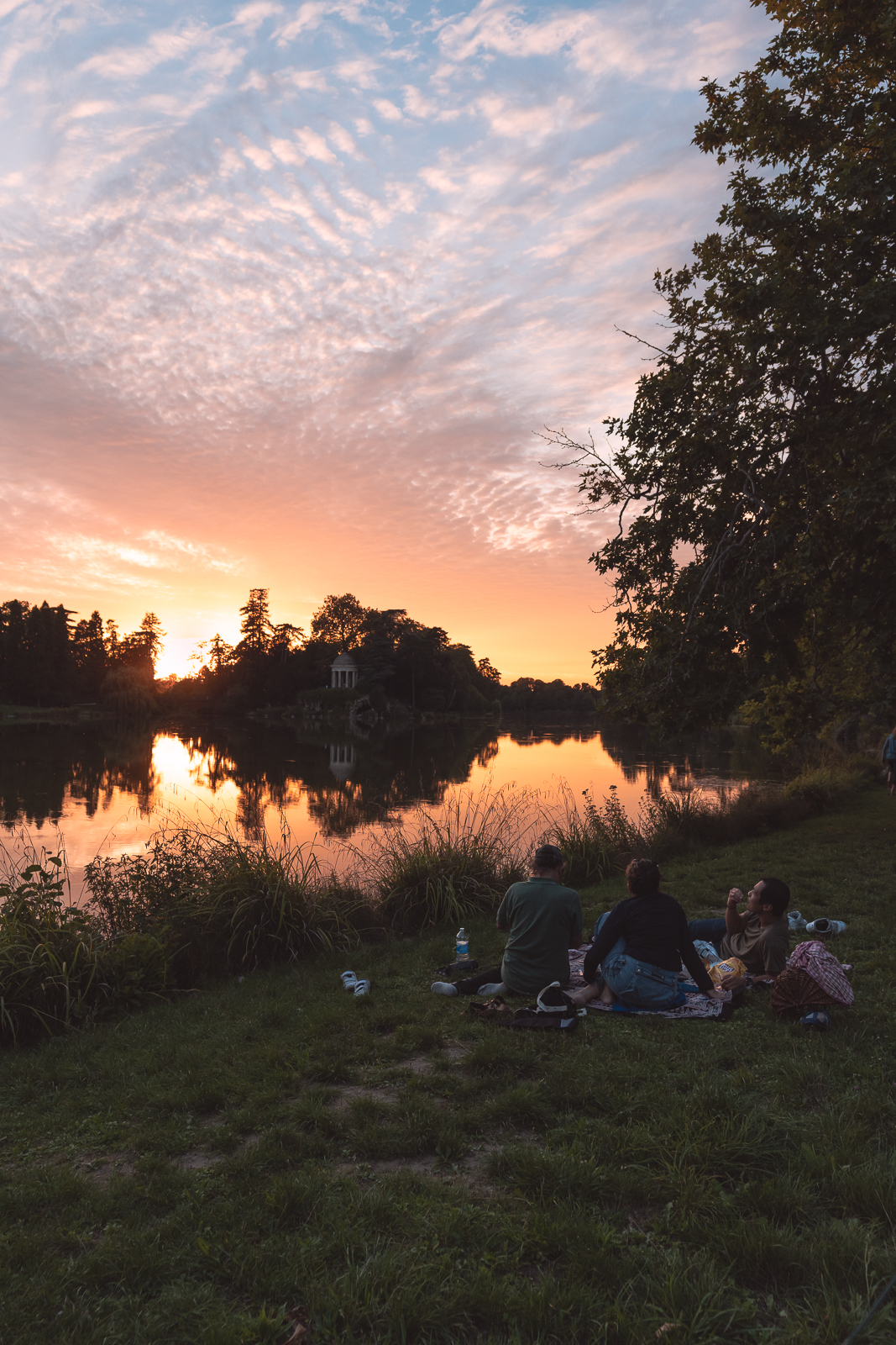 Photo n° 6 de l'avis de Thibault.s fait le 23/08/2023 à 14:02