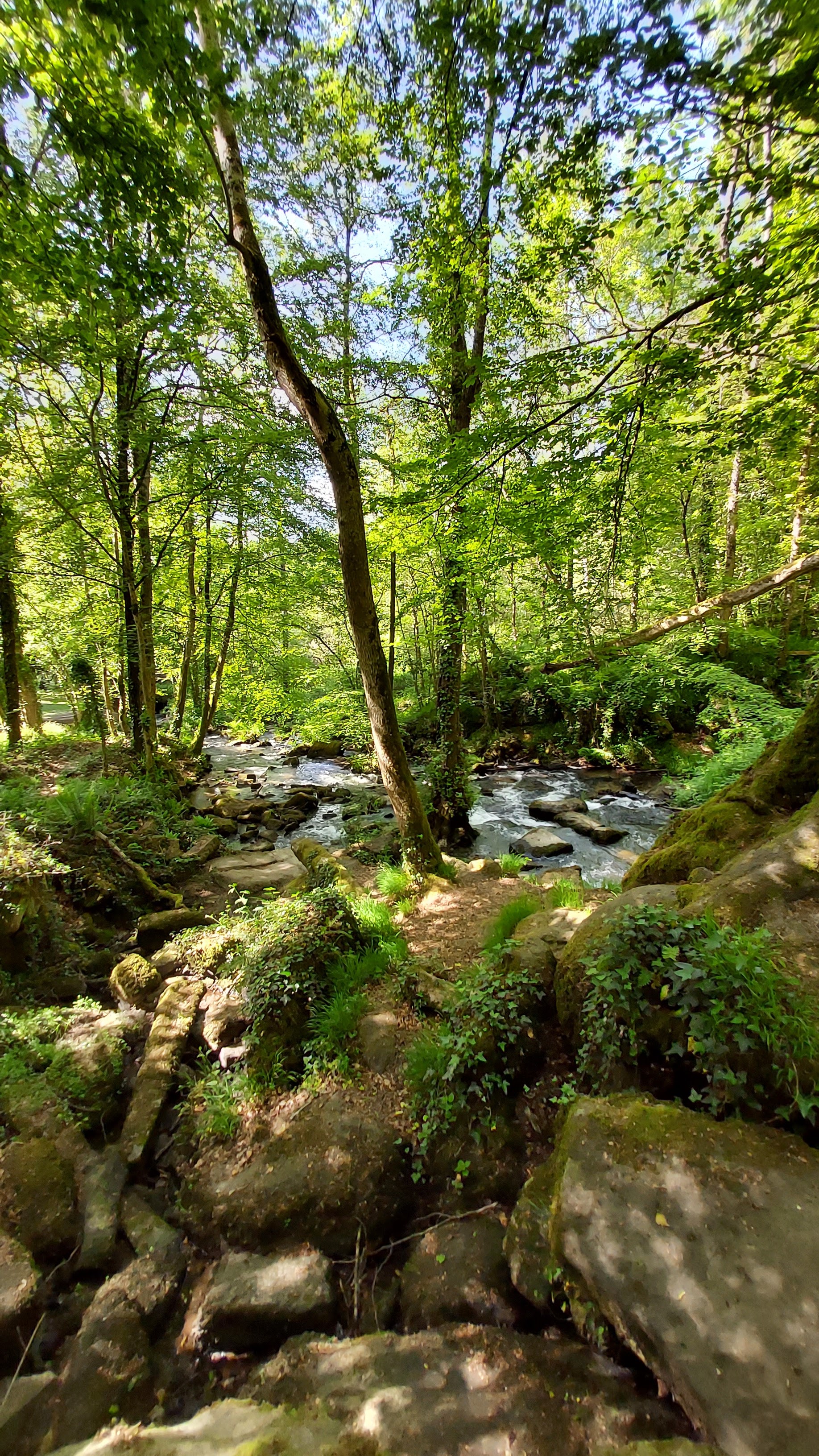 Photo n° 1 de l'avis de fab.e fait le 24/05/2023 à 15:43