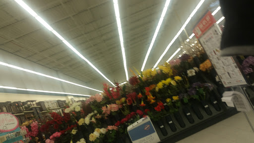 Craft Store «Hobby Lobby», reviews and photos, 4887 S Wadsworth Blvd #100, Littleton, CO 80123, USA