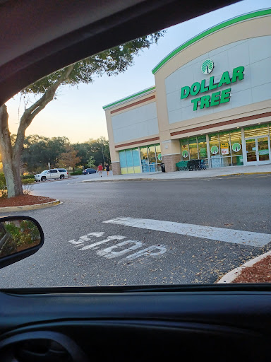 Dollar Store «Dollar Tree», reviews and photos, 16930 US-441 c, Mt Dora, FL 32757, USA