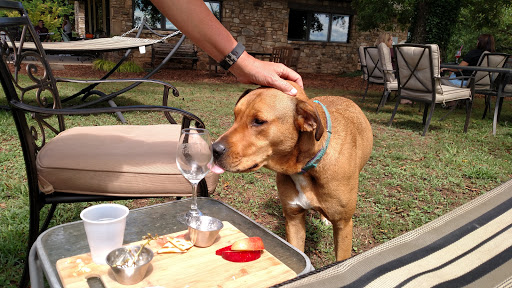 Winery «CeNita Vineyards, Winery & Tasting Room», reviews and photos, 591 Dock Dorsey Rd, Cleveland, GA 30528, USA