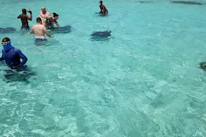 Stingray City Antigua image