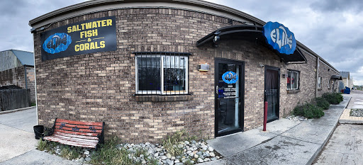 Tropical Fish Store «Elite Reef», reviews and photos, 8410 Wadsworth Blvd F, Arvada, CO 80003, USA