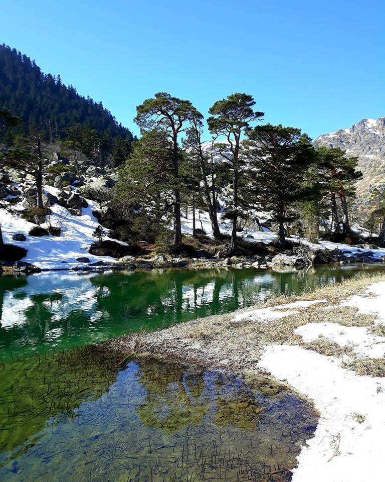 Photo n° 2 de l'avis de arnaud.� fait le 28/03/2019 à 20:09
