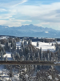 Chalet du Gralet du Restaurant français Auberge la Grangette à Longevilles-Mont-d'Or - n°1